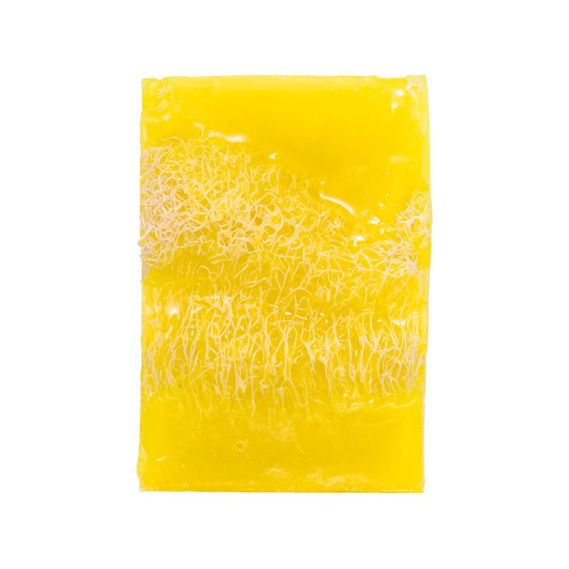 Tropical Loofah Soap - soulandmore