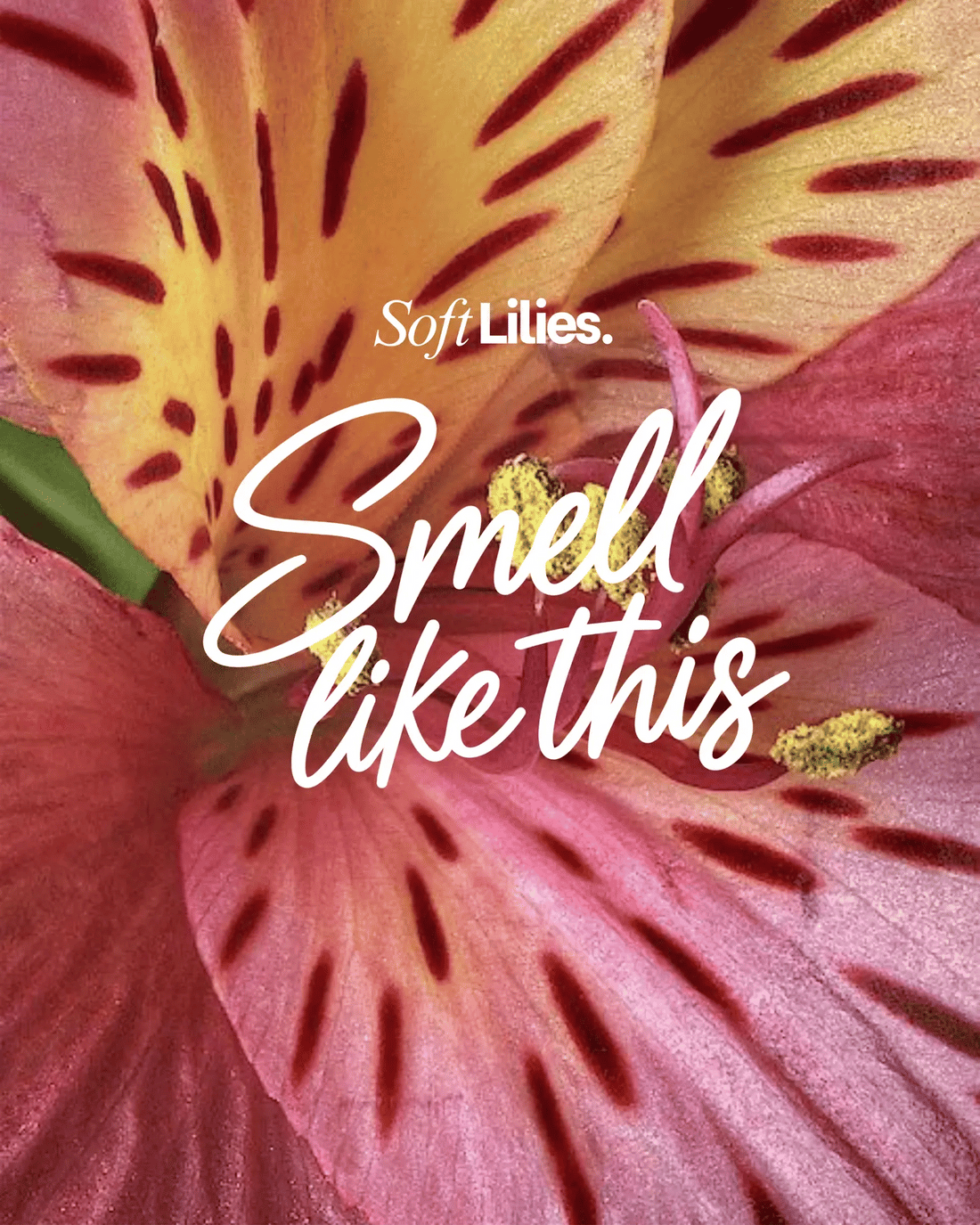 Soft Lilies - Hair & Body mist - soulandmore