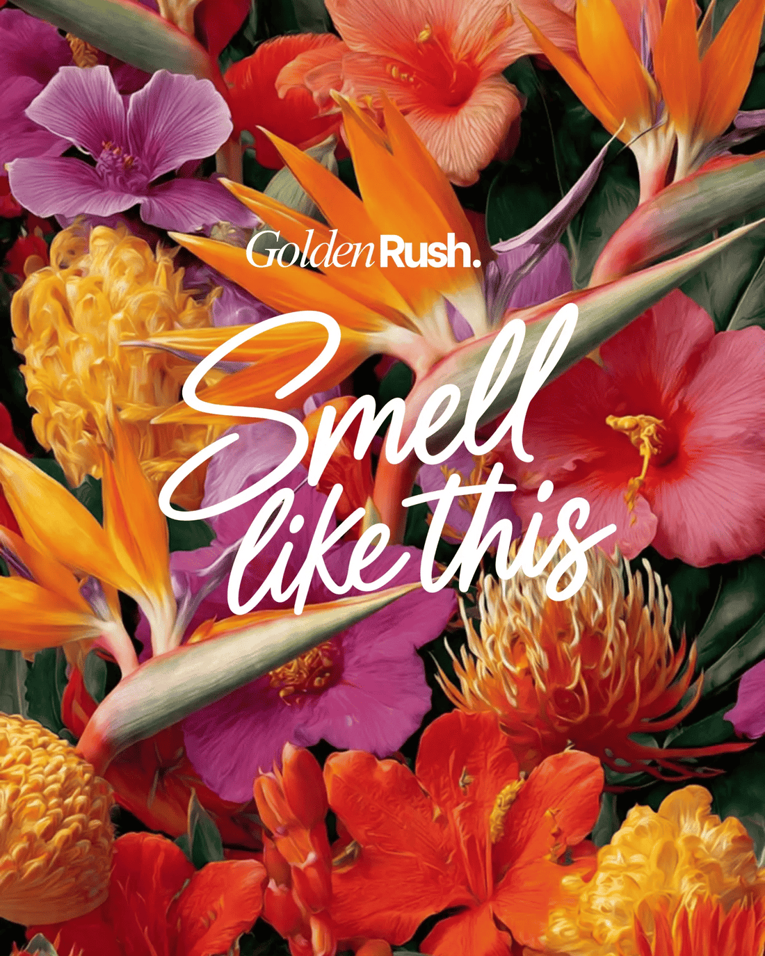 Golden Rush - Hair & Body mist - soulandmore