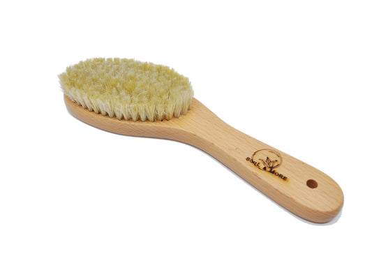 Short Dry Brush (7048130429094)