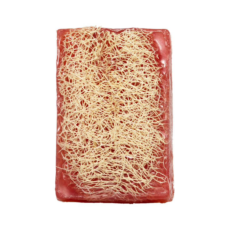 Strawberry Loofah Soap (7044007887014)